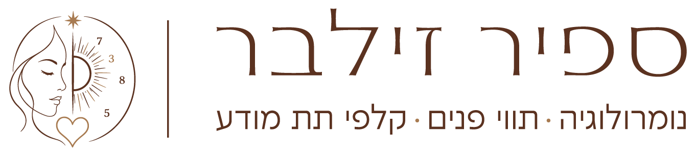 ספיר זילבר